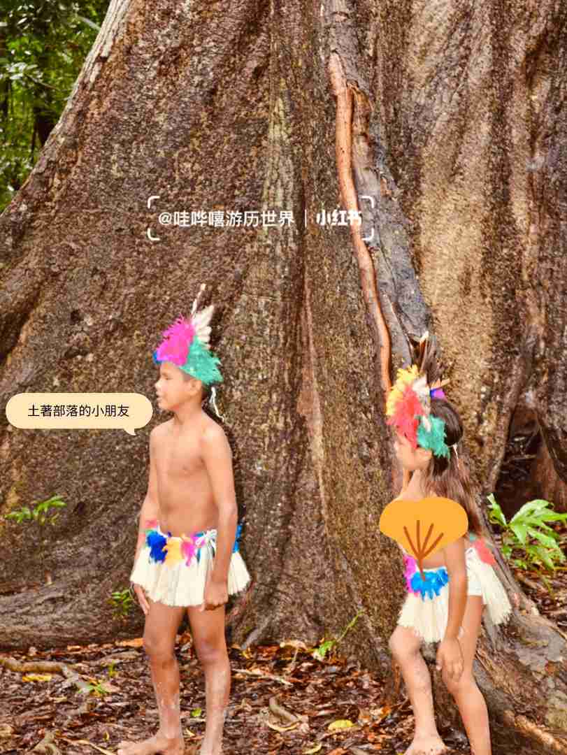 Entdecke heute das Amazonasregenwaldes, ein biodiverses Naturwunder!