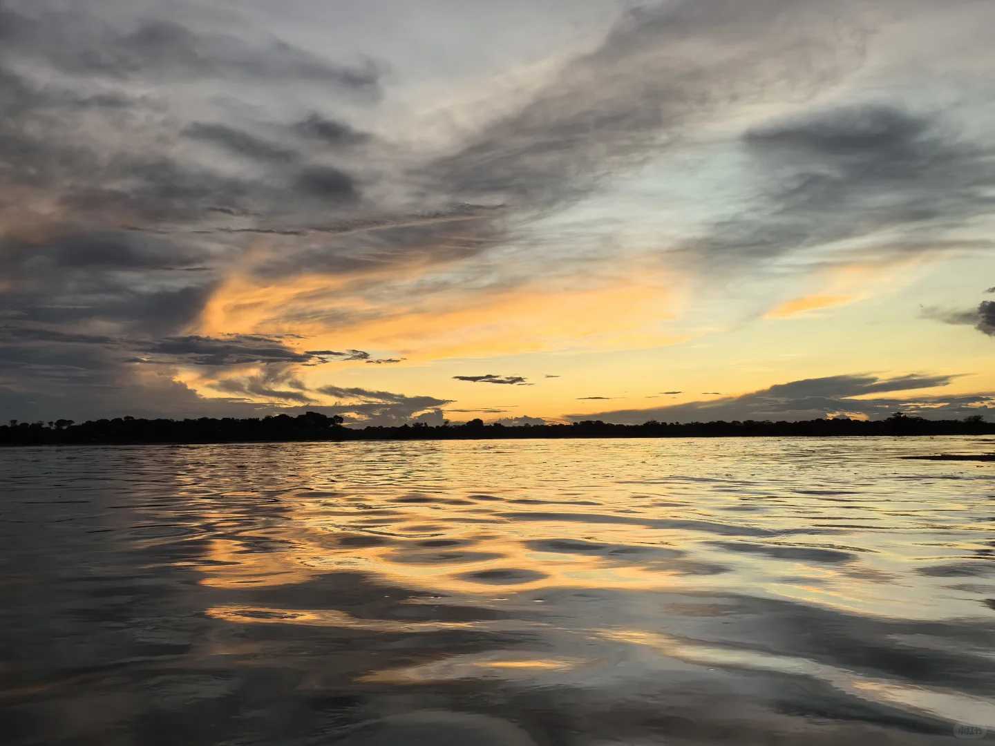 Explore the Amazon Rainforest in Brazil: Manaus Eco Tours