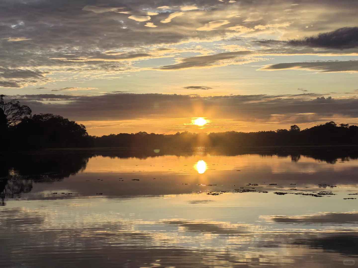 Explore the Amazon Rainforest in Brazil: Manaus Eco Tours