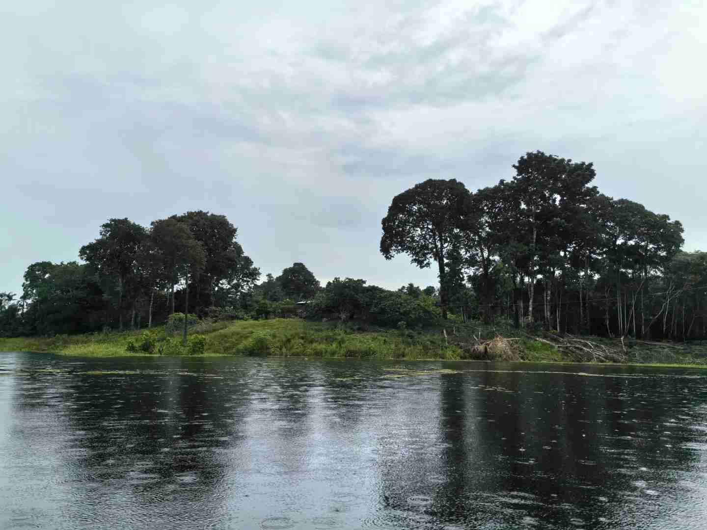 Explore the Amazon Rainforest in Brazil: Manaus Eco Tours