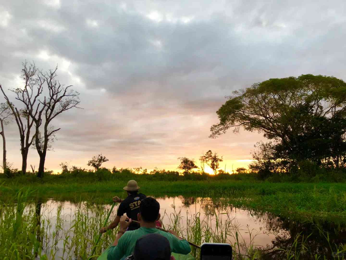 Explore the Amazon Rainforest in Brazil: A Once-in-a-Lifetime Travel Experience