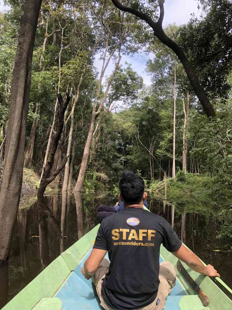 Explore the Amazon Rainforest in Brazil: A Once-in-a-Lifetime Travel Experience