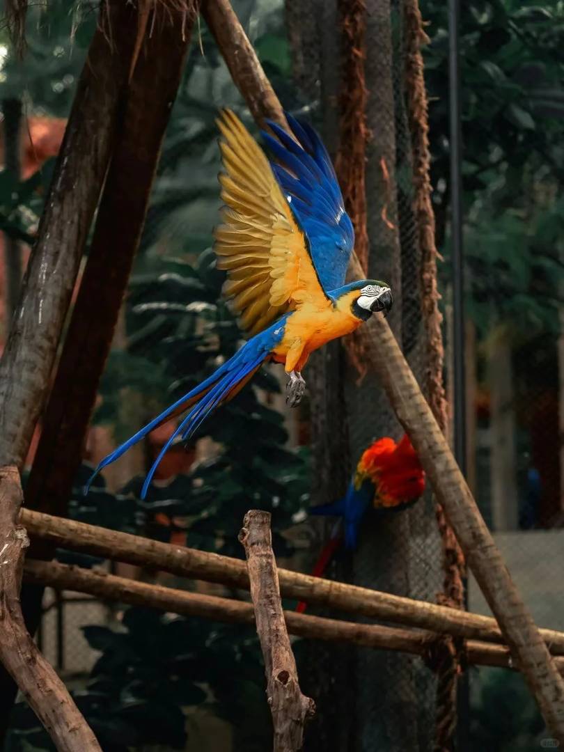 Explore the Beauty of Colombia: Travel Guide and Hidden Gems