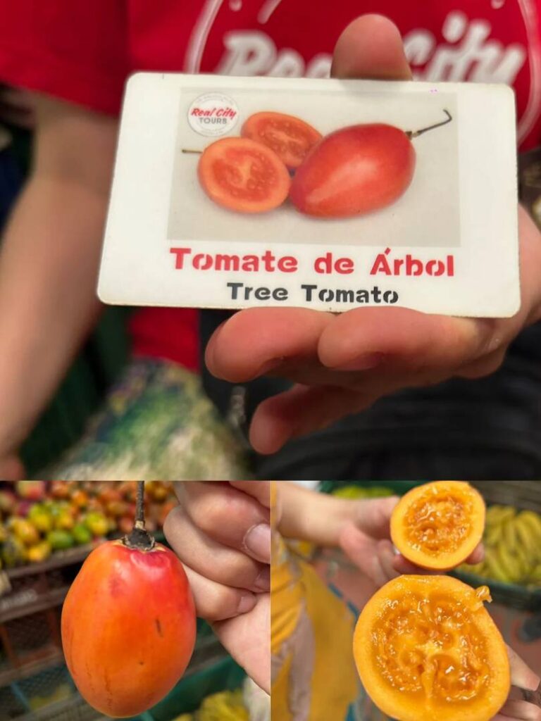 Explore the Best Colombian Fruit Tours and Exotic Flavors 2023