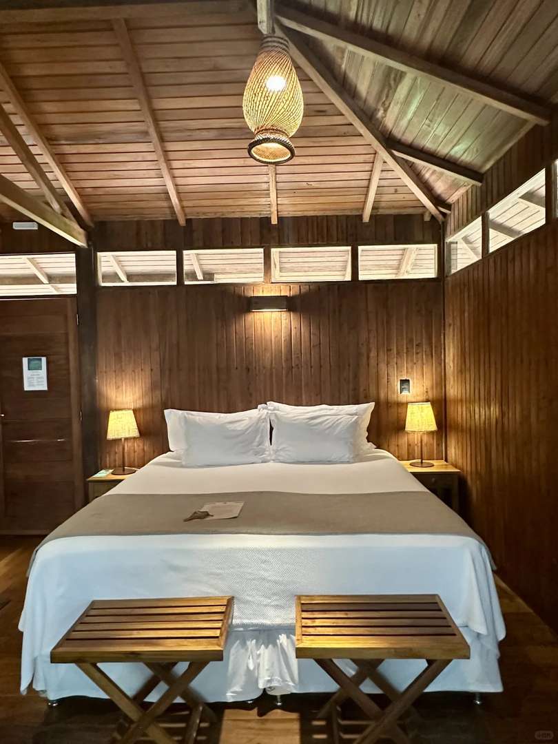 Explore the Best Lodge in the Amazon Rainforest for an Unforgettable Stay