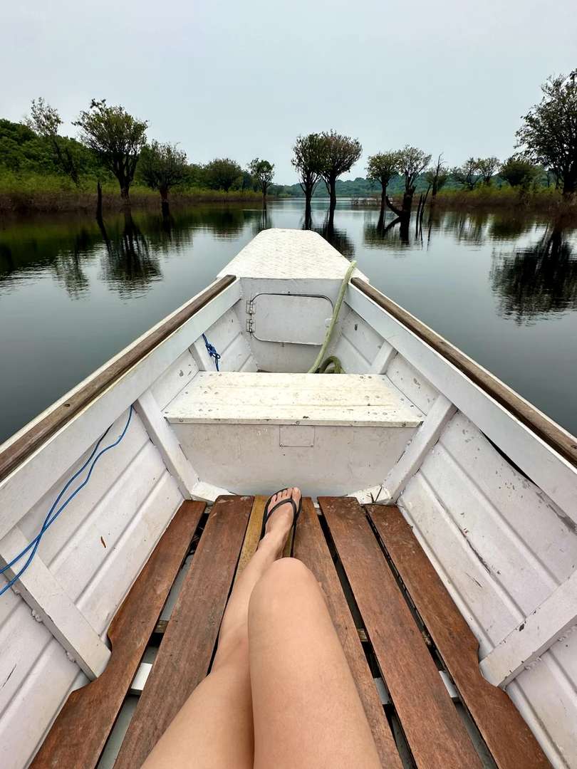 Explore the Best Lodge in the Amazon Rainforest for an Unforgettable Stay