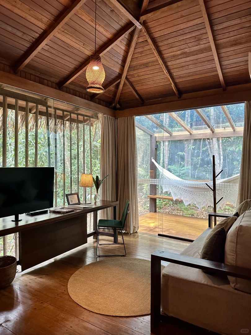 Explore the Best Lodge in the Amazon Rainforest for an Unforgettable Stay