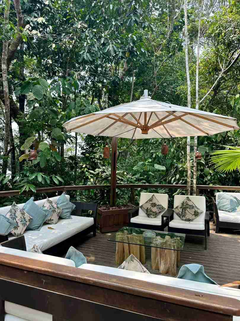 Explore the Best Lodge in the Amazon Rainforest for an Unforgettable Stay