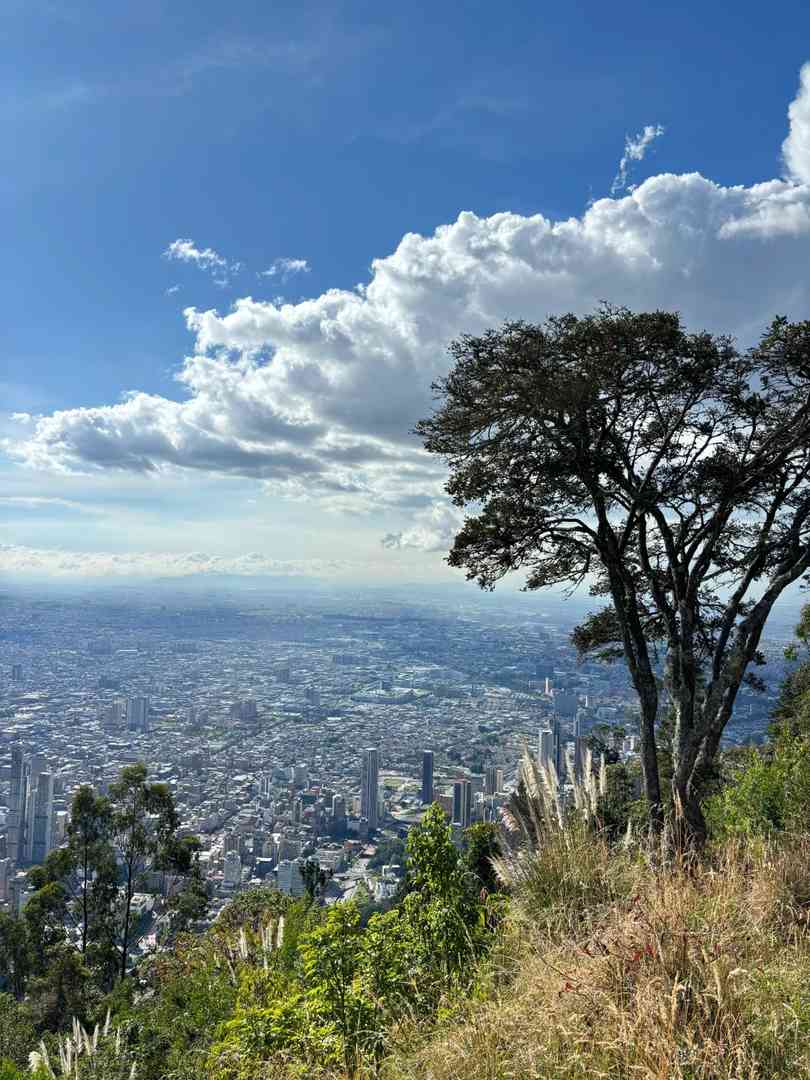 Explore the Best of Bogota This Weekend | Top Local Attractions