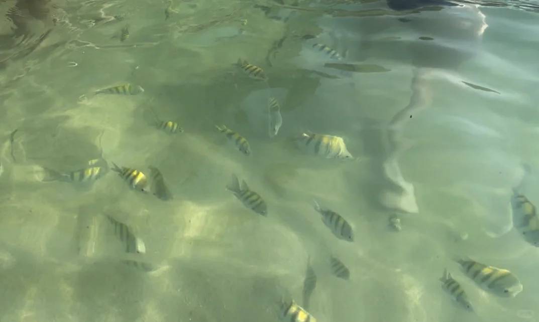 Explore the Best of Santa Marta Colombia | Travel Guide