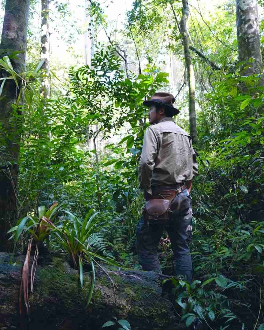 Erkunde den Regenwald Brasiliens: Ein unvergessliches Dschungelerlebnis
