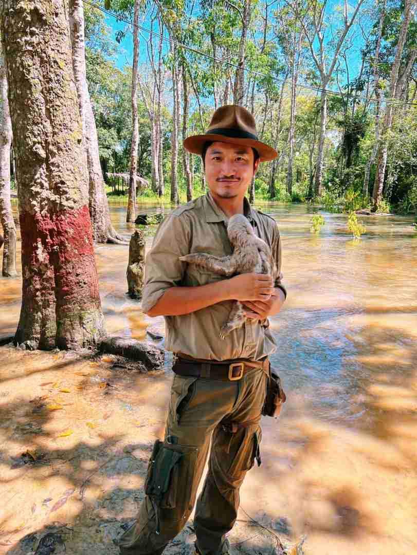 Erkunde den Regenwald Brasiliens: Ein unvergessliches Dschungelerlebnis
