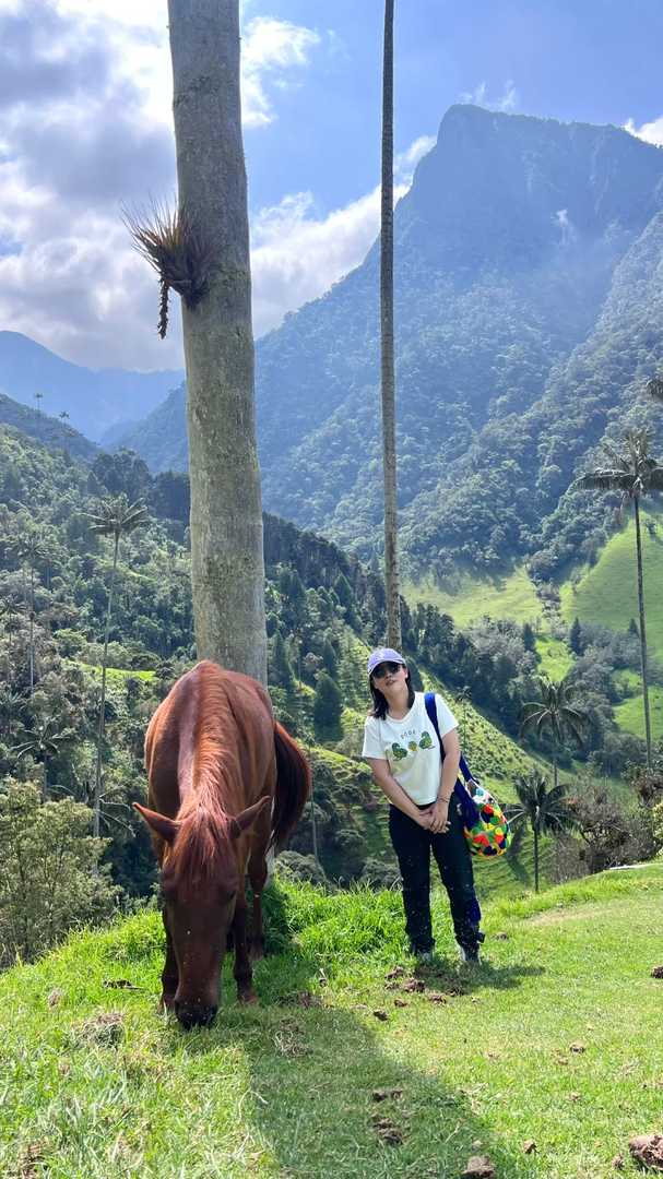 Explore the Breathtaking Cócora Valley: A Hidden Gem in Mexico