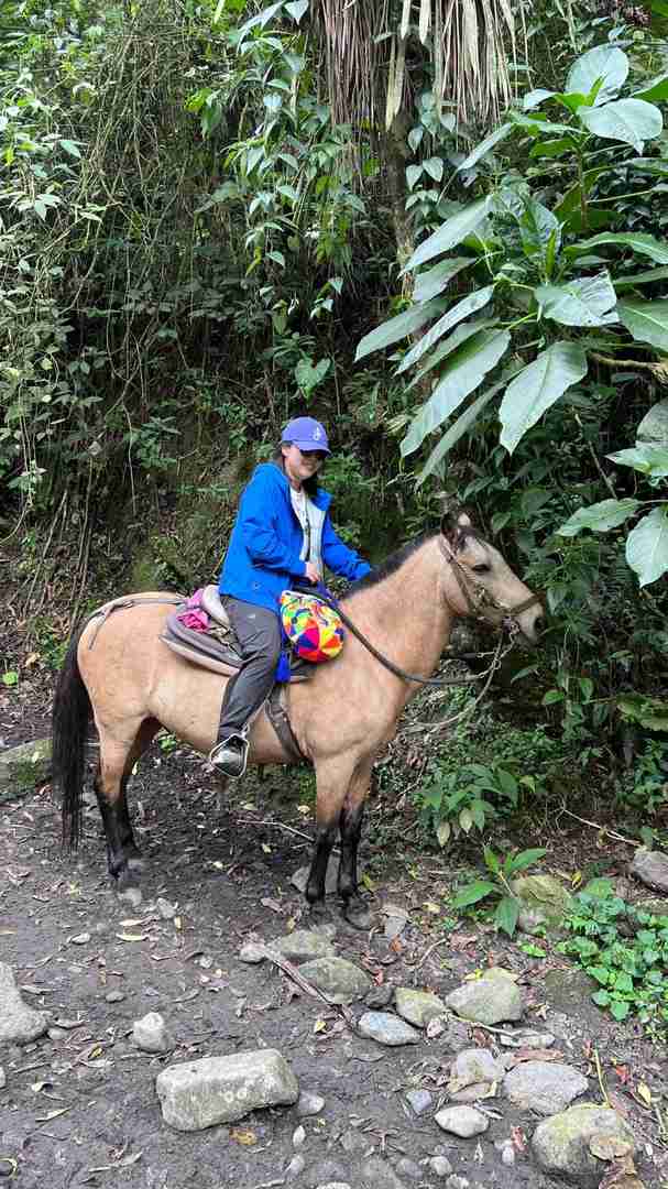 Explore the Breathtaking Cócora Valley: A Hidden Gem in Mexico