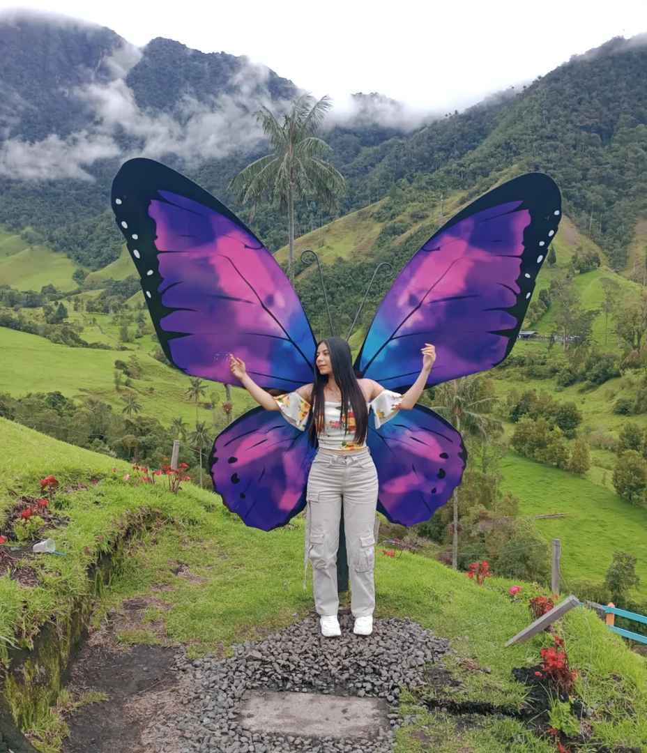 Explore the Breathtaking Cocora Valley Colombia | Andes Cloud Forest