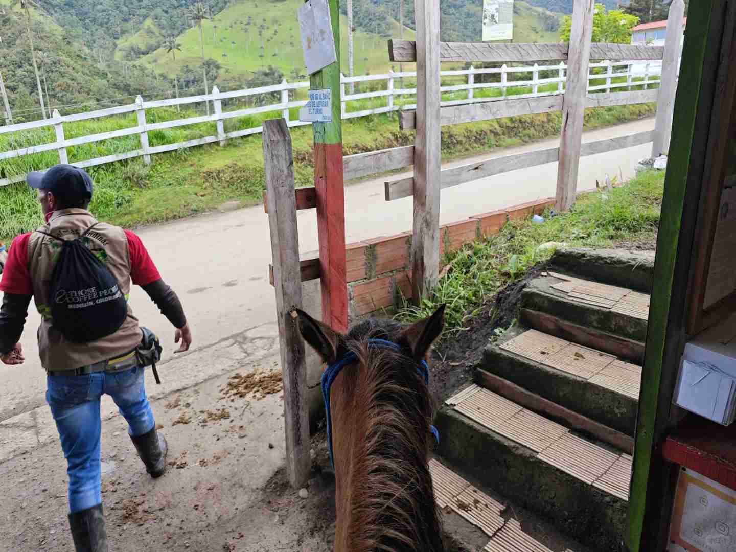 コロンビアの壮大なココラ渓谷を探索しよう | アンデス・アドベンチャー