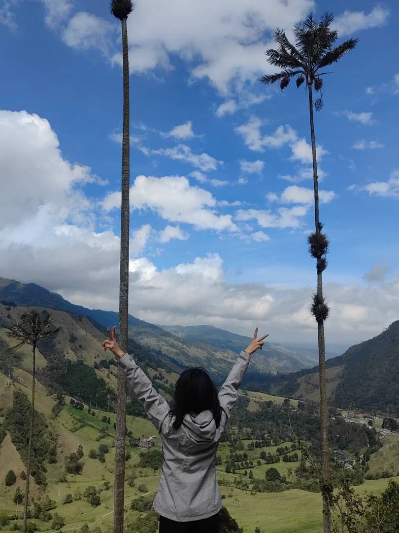 Explore the Breathtaking Cocora Valley in South American Travel