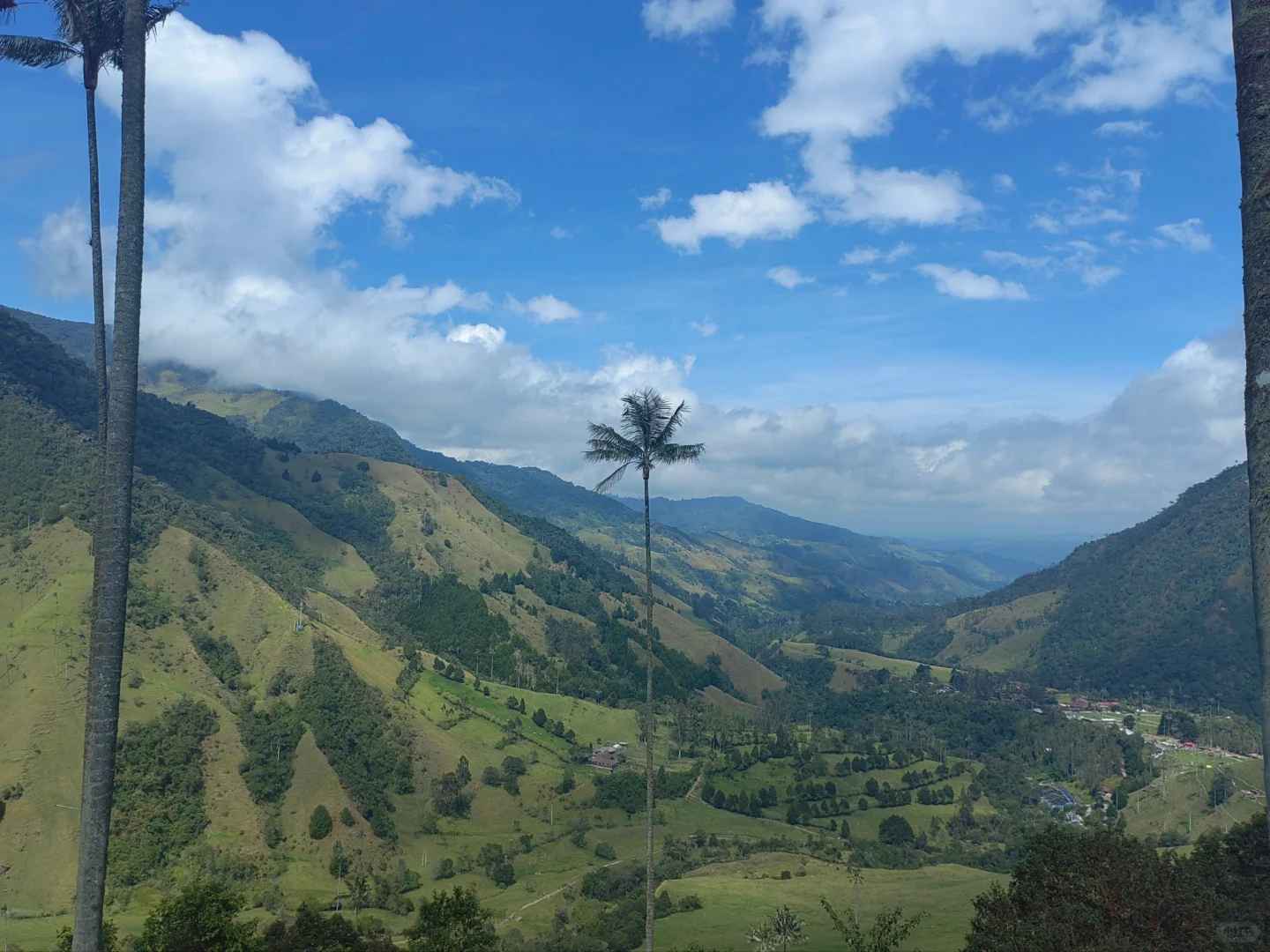 Explore the Breathtaking Cocora Valley in South American Travel
