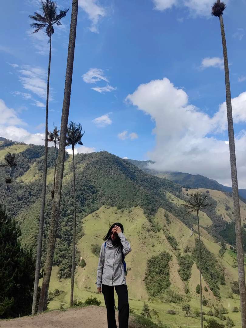 Explore the Breathtaking Cocora Valley in South American Travel
