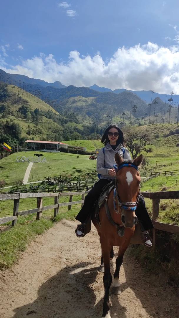 Explore the Breathtaking Cocora Valley in South American Travel