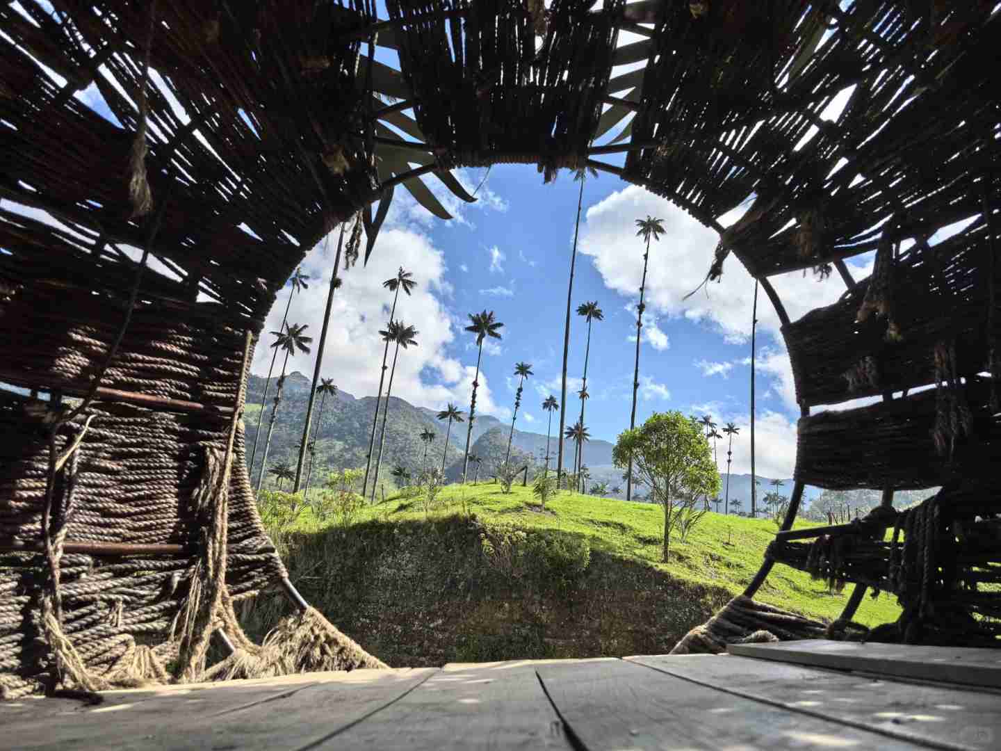 Explore the Breathtaking Cocora Valley with Quindío's Best Trails