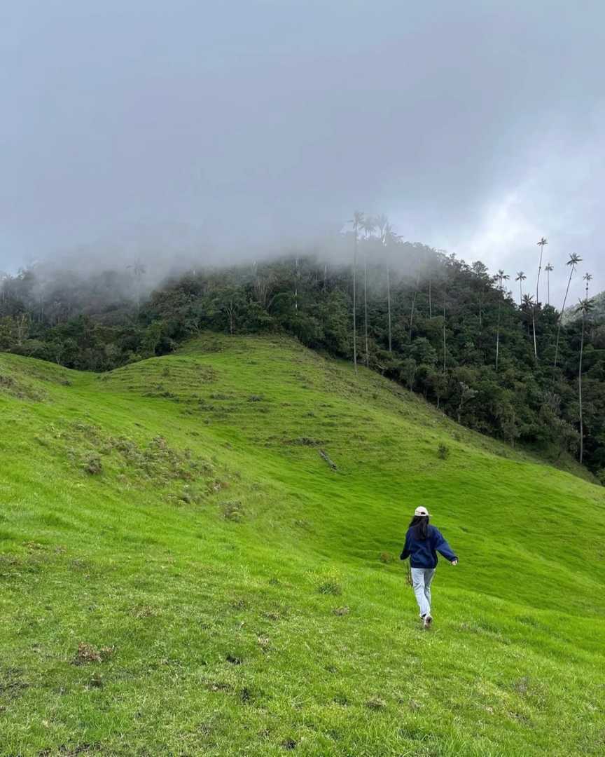 Découvrez le charme de Salento, une grande destination en Colombie pour les voyageurs