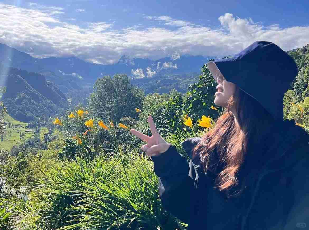 Découvrez le charme de Salento, une grande destination en Colombie pour les voyageurs