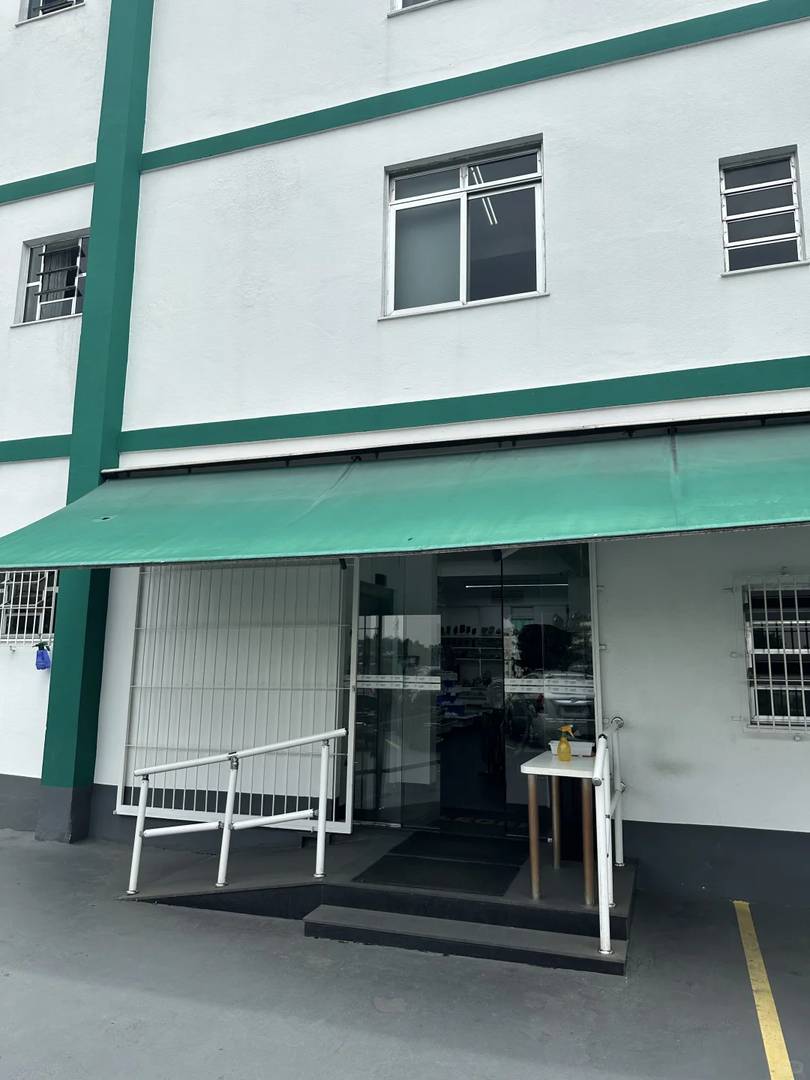 Explore the Crystal and Gem Factory in São Paulo Brazil | Unique Souvenirs