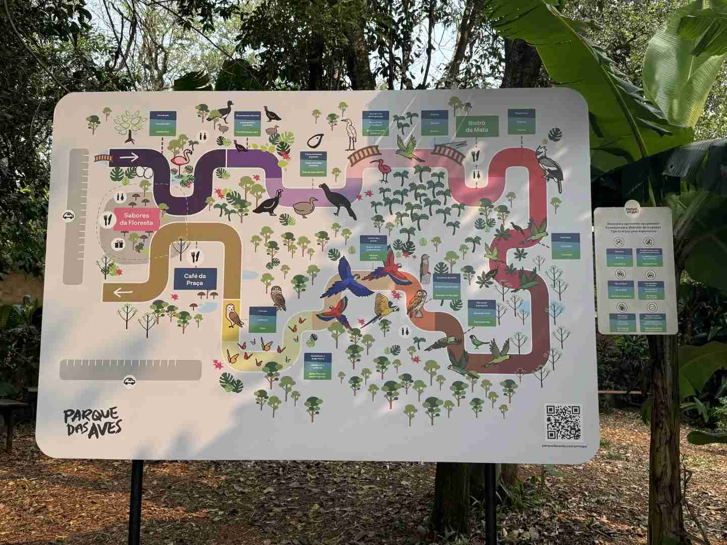 Explore the Diverse Bird Species at Iguazu's Premier Bird Park