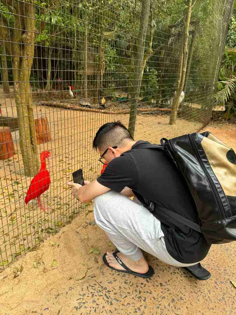 Explore the Diverse Bird Species at Iguazu's Premier Bird Park