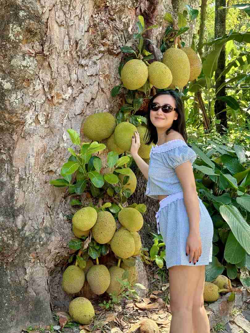 リオデジャネイロのパルケ・ラゲにある隠された宮殿 | ブラジル旅行ガイド