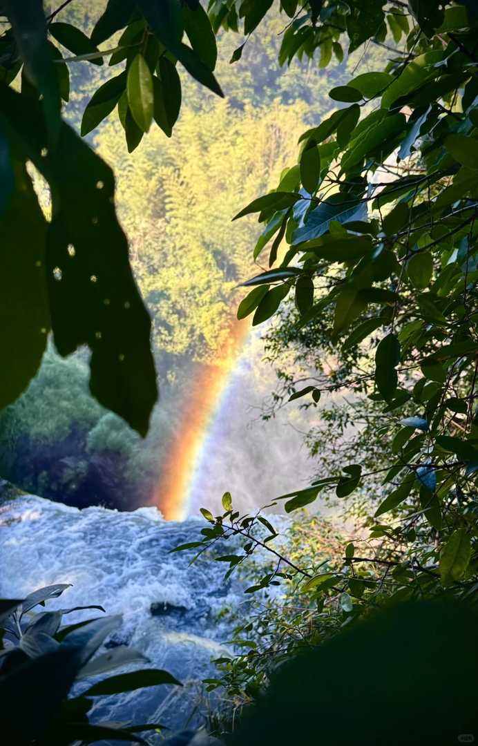 Explore the Latest News from Argentine Side of Iguazu Falls Today
