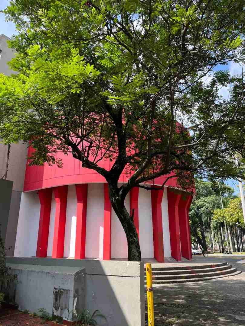 Explore the Lush Green Charm of Cali: A Vibrant City Experience🟢