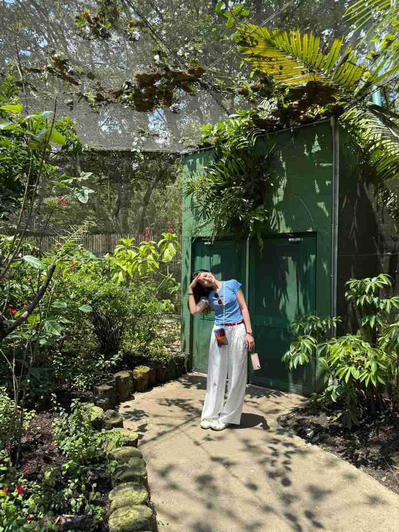Explore the Lush Green Charm of Cali: A Vibrant City Experience🟢