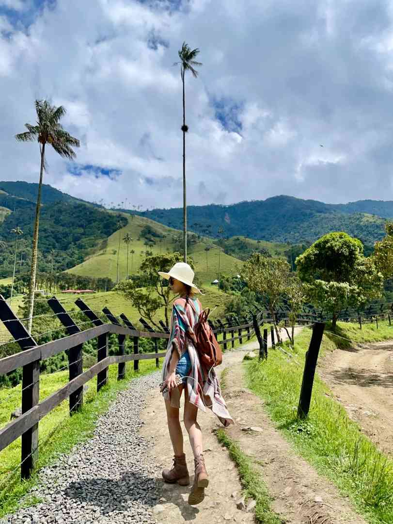 Erkunde das abgeschiedene Cocora-Tal in Kolumbien | Quindío Bamboo Trails