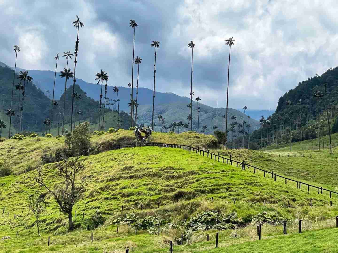 Erkunde das abgeschiedene Cocora-Tal in Kolumbien | Quindío Bamboo Trails
