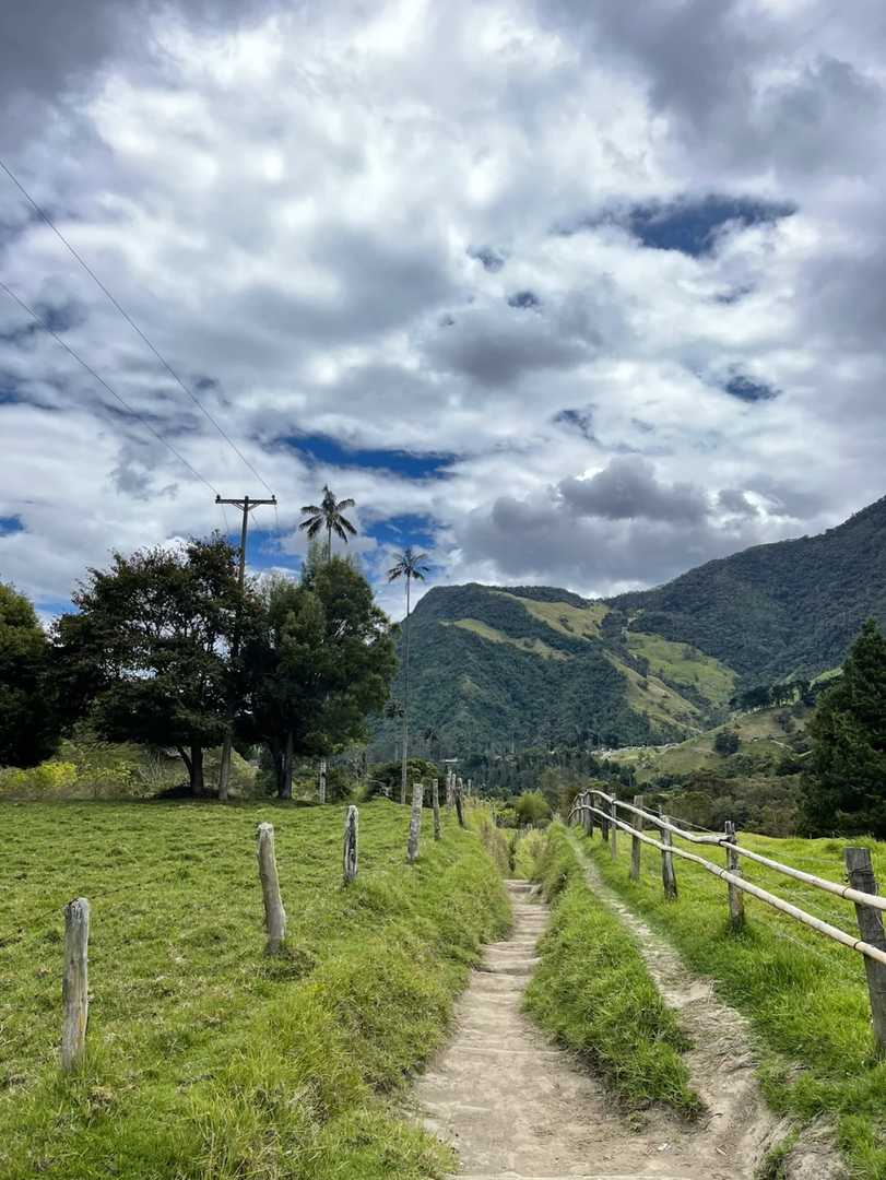 Explore the Stunning Cocora Valley in Colombia | Best Hiking Trails