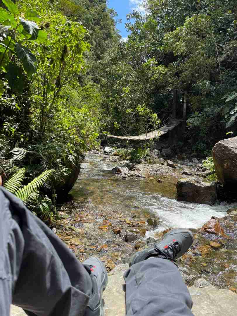 Explore the Stunning Cocora Valley in Colombia | Best Hiking Trails