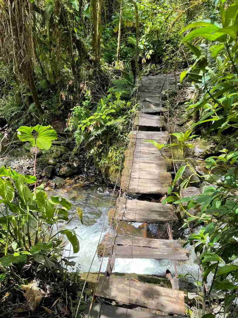 Explore the Stunning Cocora Valley in Colombia | Best Hiking Trails