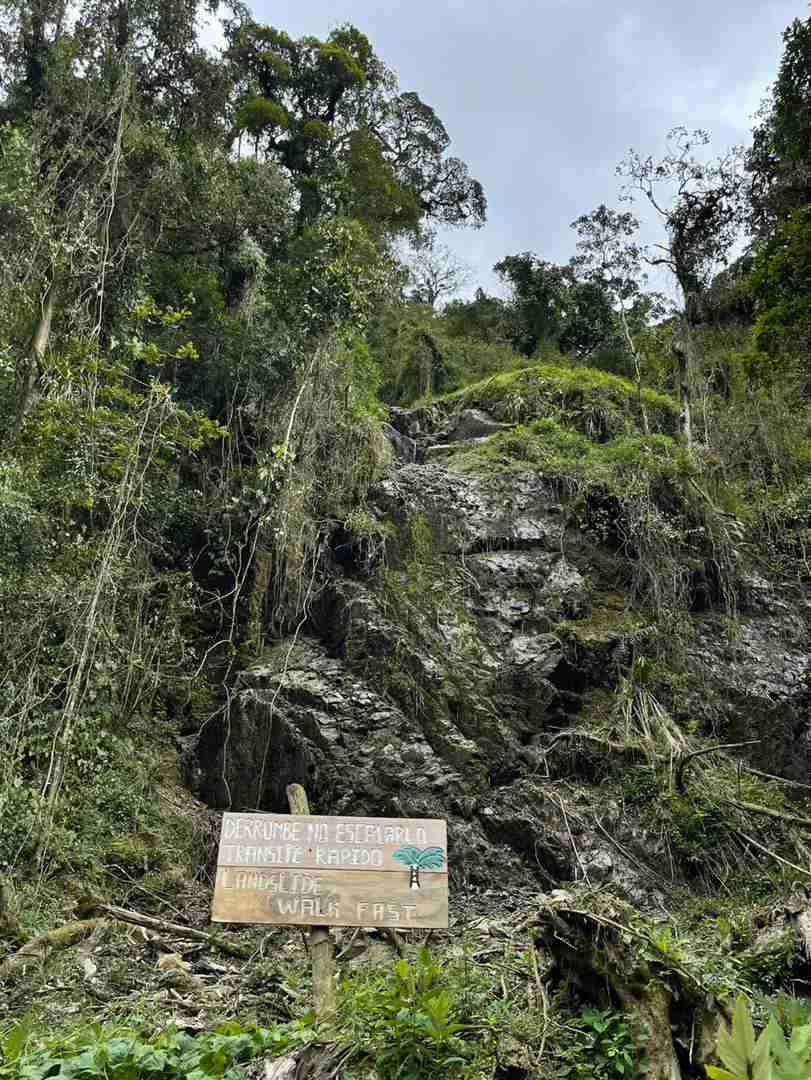 Explore the Stunning Cocora Valley in Colombia | Best Hiking Trails