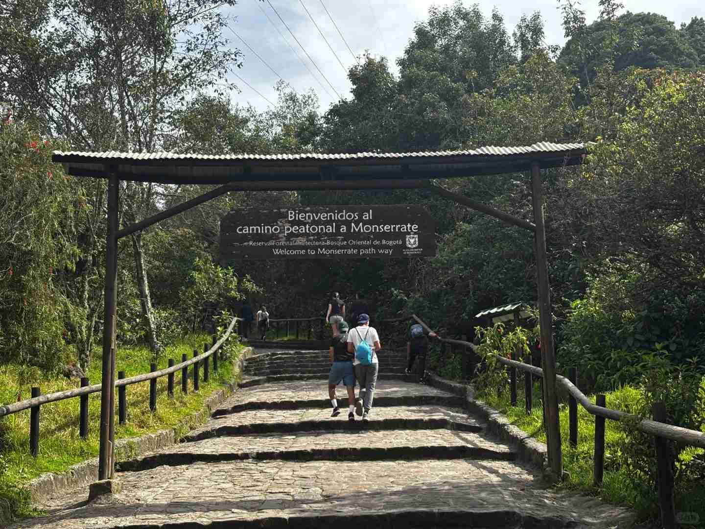Exploring Bogotá: A Journey Through Clouds, Gold, and Revolution History