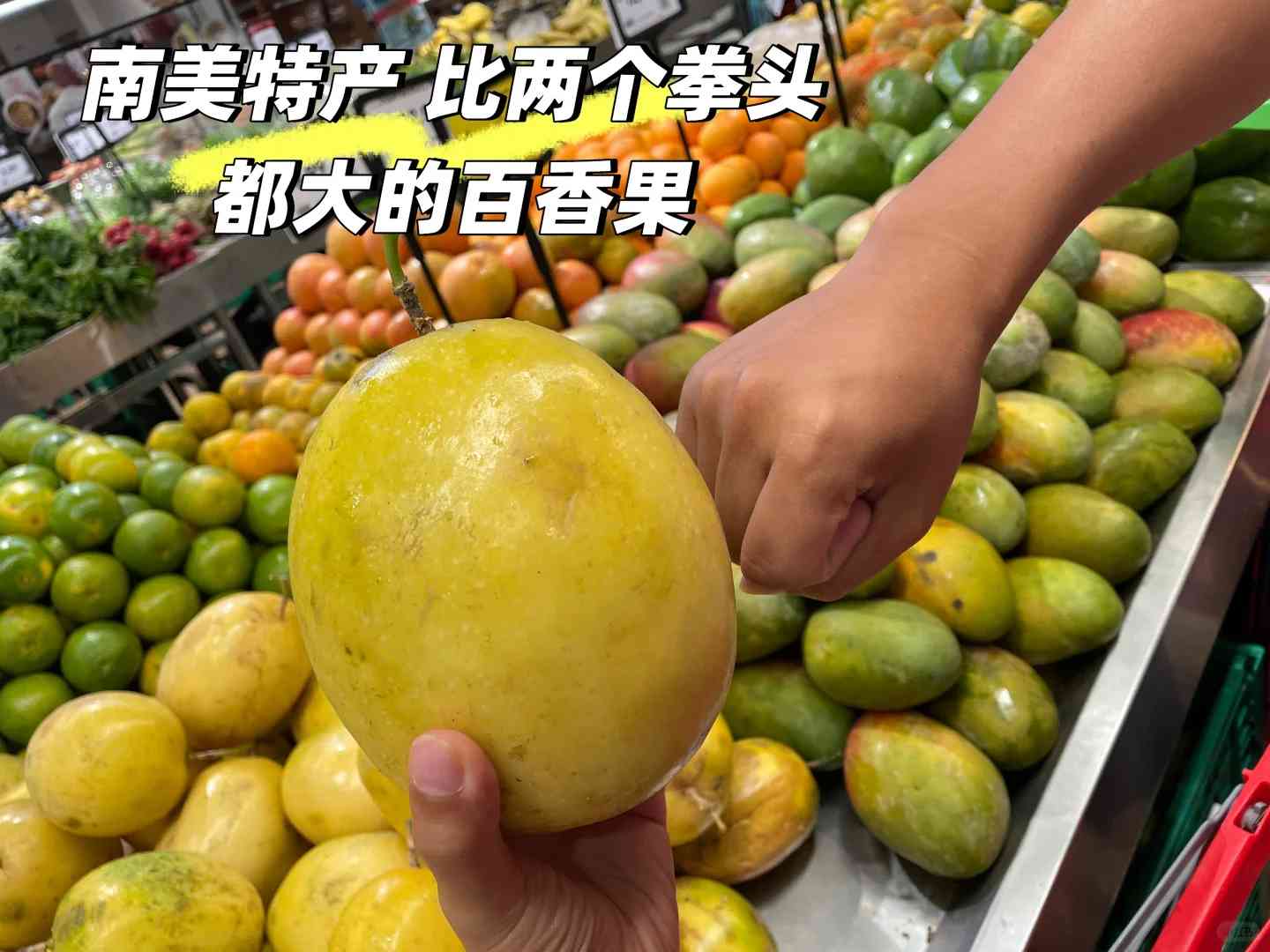 リオデジャネイロを探索する:旅行のヒントと隠された名所