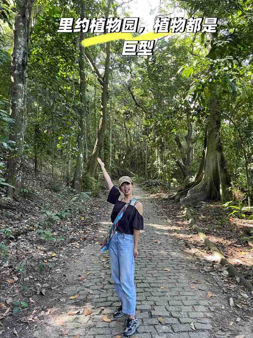 リオデジャネイロを探索する:旅行のヒントと隠された名所