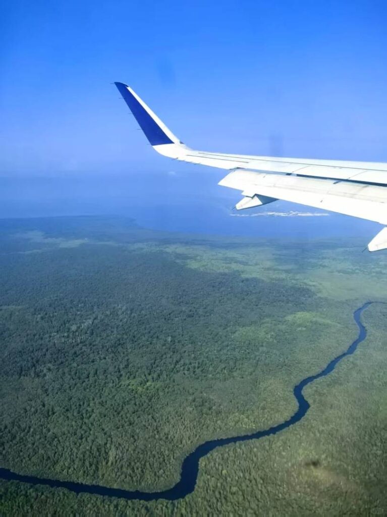 Explorando a Alternativa da Floresta Amazônica: Uma Experiência Fantástica