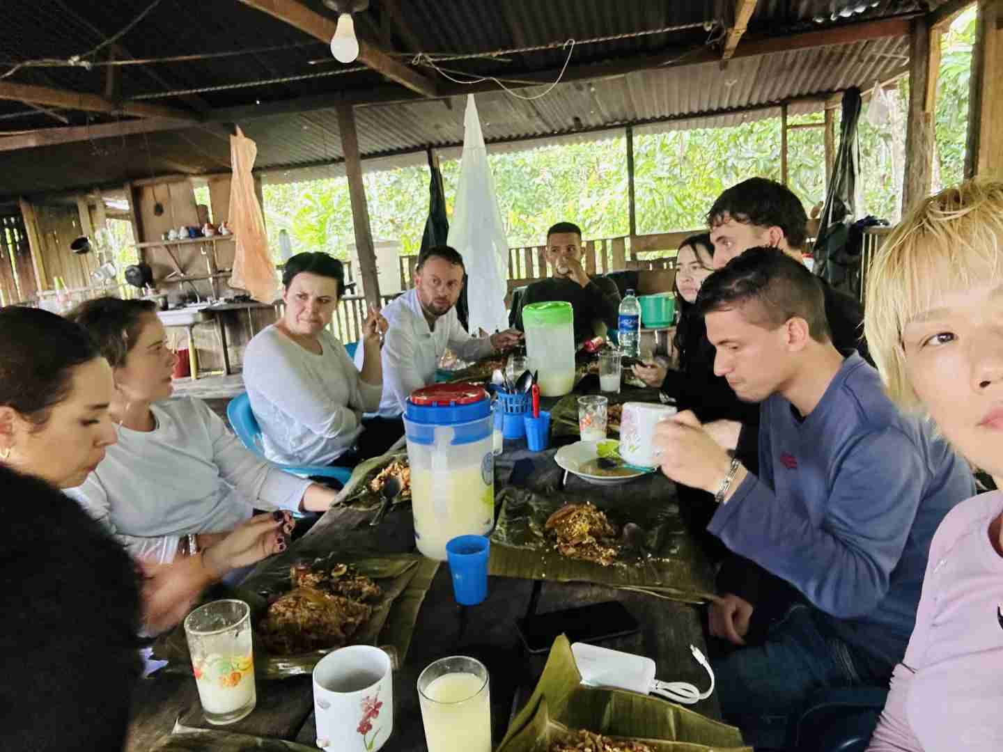 Exploring the Amazon Rainforest in Depth: A Traveler's Guide