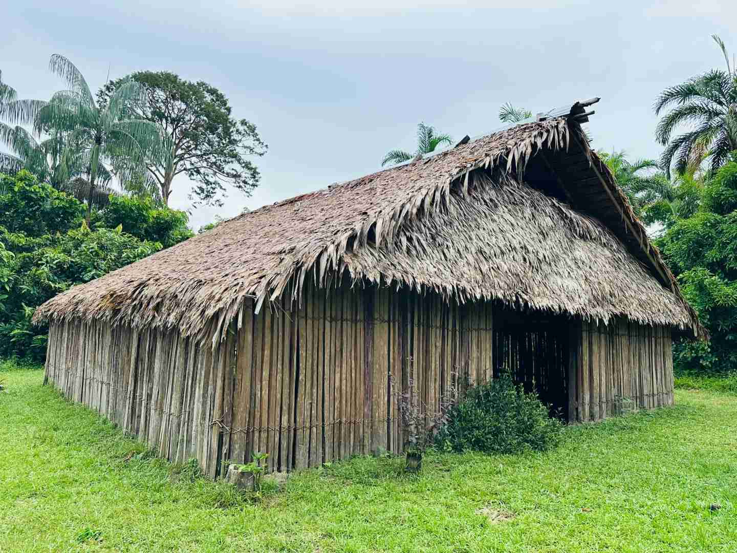 Exploring the Amazon Rainforest in Depth: A Traveler's Guide