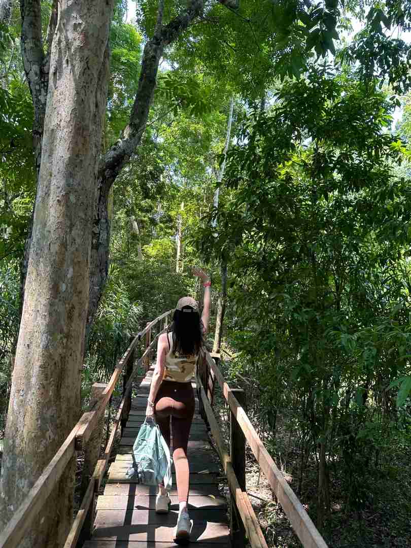 Exploring the Mysterious 