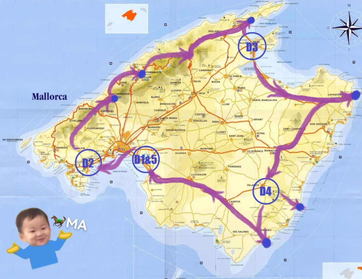 Five-day Mallorca Circumnavigation by Car: What to Do Without a Driver's License