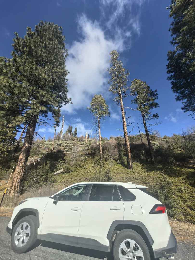 Free Car Upgrade from Corolla to RAV4 While Renting in the US: My Lucky Experience