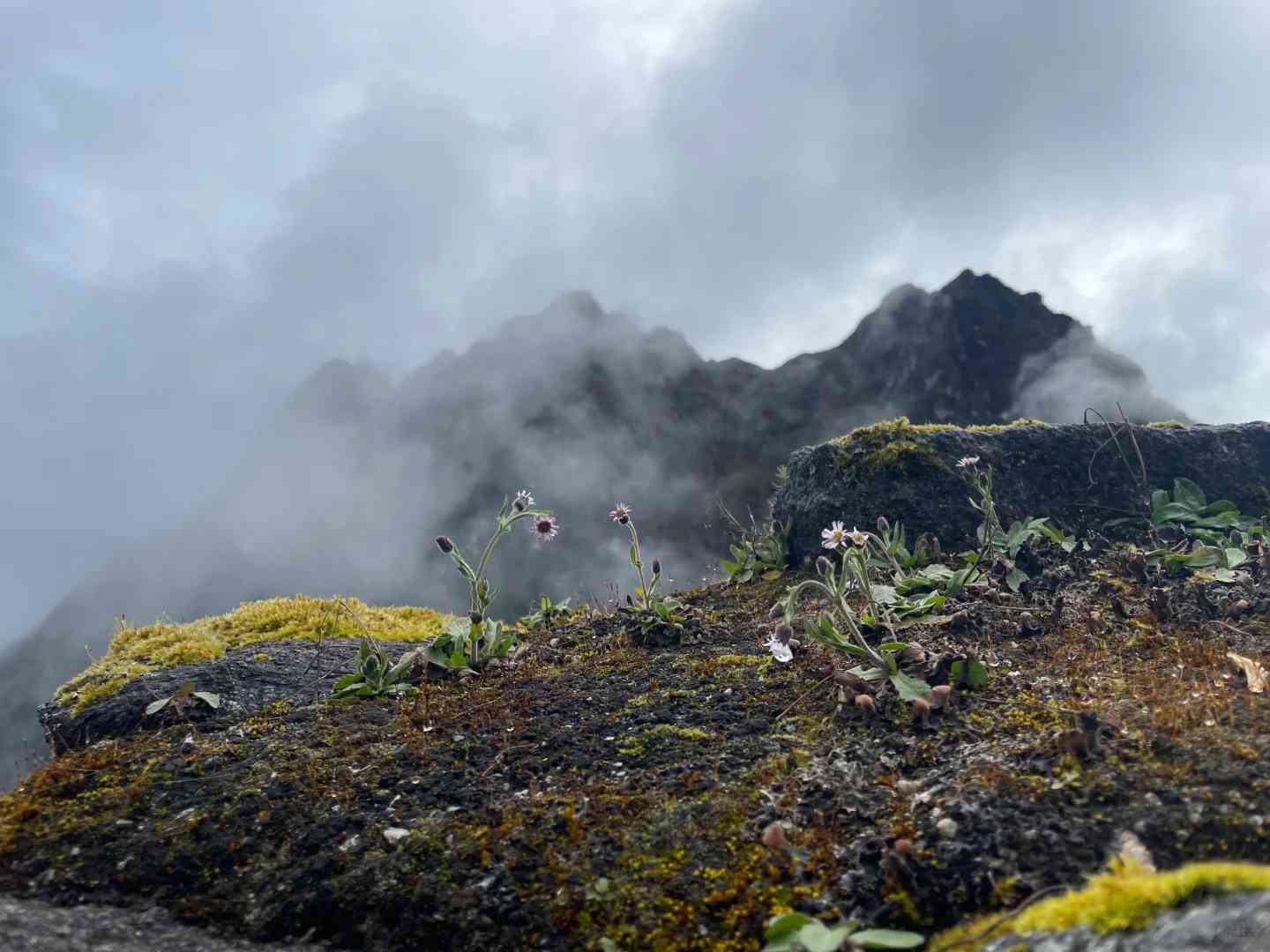 Hike the Inca Trail: Four Days and Three Nights Adventure to Machu Picchu